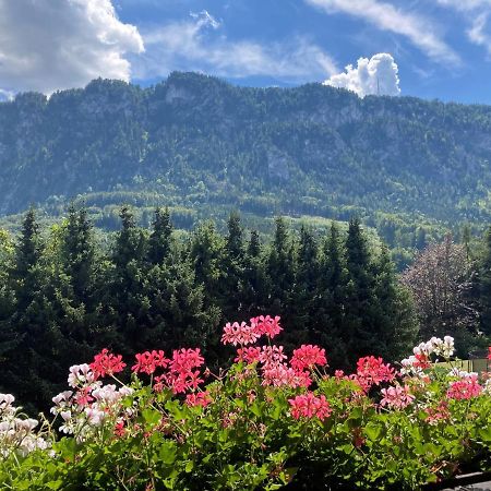 Ferienwohnung Mit Seeblick, Unterach Am Attersse ウンターアッハ・アム・アターゼー エクステリア 写真