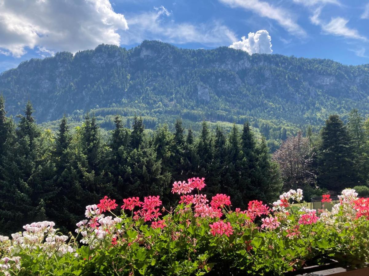 Ferienwohnung Mit Seeblick, Unterach Am Attersse ウンターアッハ・アム・アターゼー エクステリア 写真