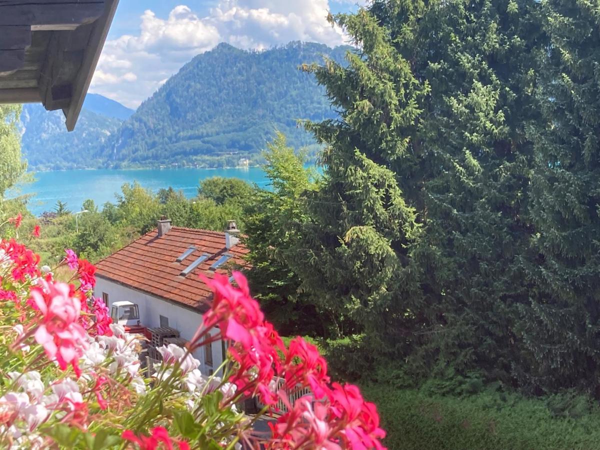 Ferienwohnung Mit Seeblick, Unterach Am Attersse ウンターアッハ・アム・アターゼー エクステリア 写真